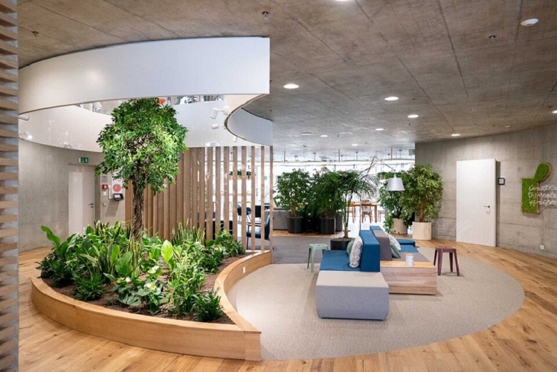 biophilic features