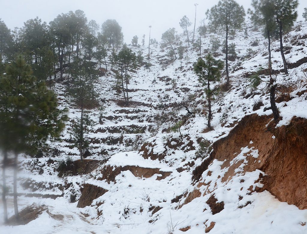 Snowfall in Ranikhet in 2022