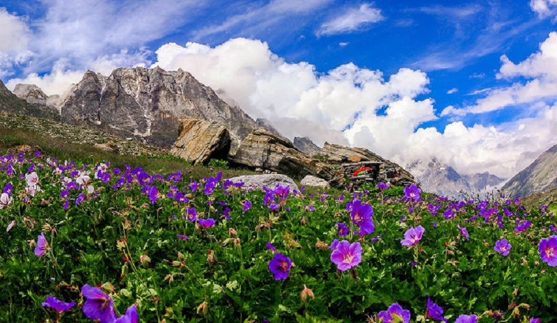 Uttarakhand