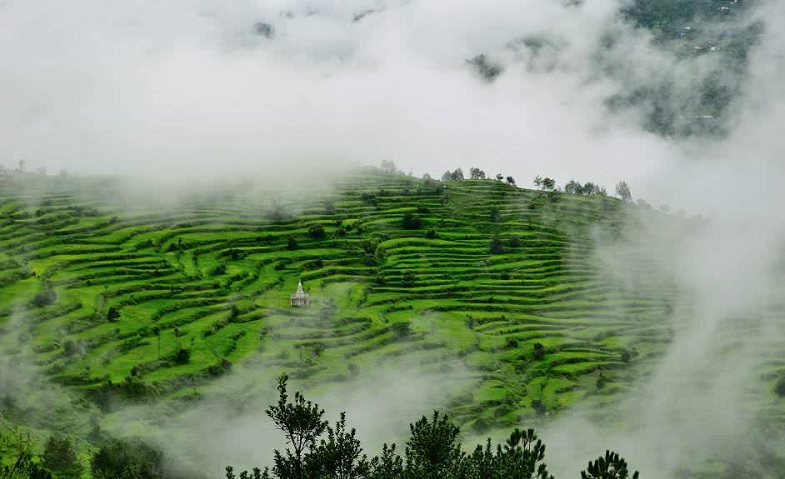 Himalayan view property