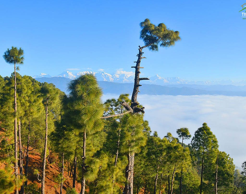 Majkhali - A Growing Real Estate Hub in Uttarakhand