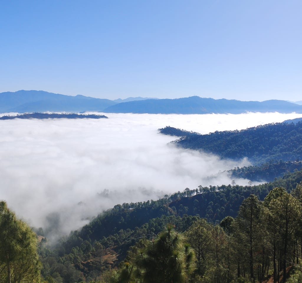 Beautiful Natural Surroundings from the ewen park in Uttarakhand